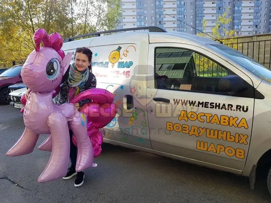 Команда Месье Шар
