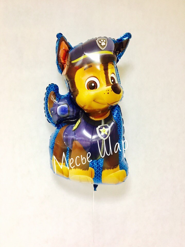 Шар "Гонщик" Шар "Гонщик"