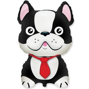 Пес с галстуком