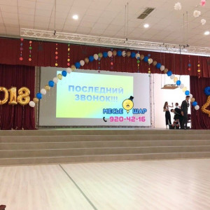 Набор шаров №17 "На выпускной"