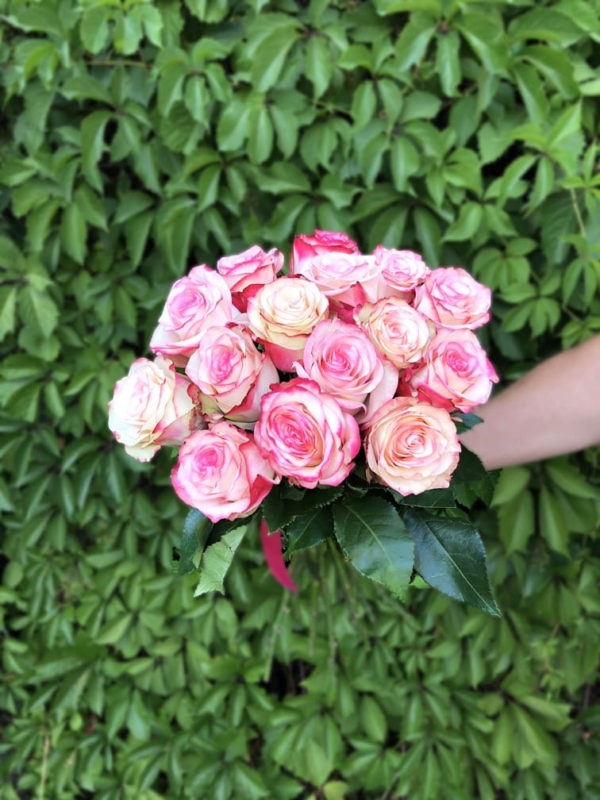 Букет бело-розовых роз 15 шт Эквадор 50 см