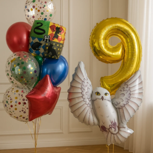 Набор шаров "Гарри Поттер и Букля"