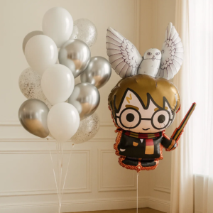Набор шаров «Гарри Поттер и сова»