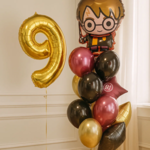 Набор шаров «Гарри Поттер с цифрой»