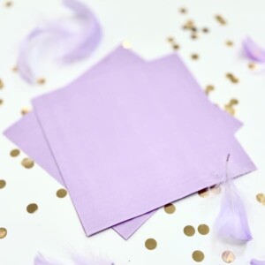 Набор праздничной посуды "Нежный" фото 2