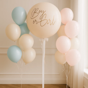 Набор шаров "Мальчик или девочка"