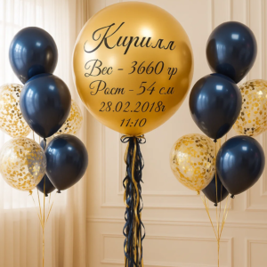 Шары "На выписку" №14