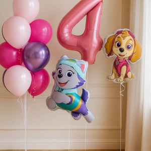 Набор шаров для девочки "Скай и Эверест"