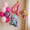 Набор шаров для девочки "Скай и Эверест"
