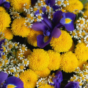 Букет с ирисами и хризантемой 3 фото