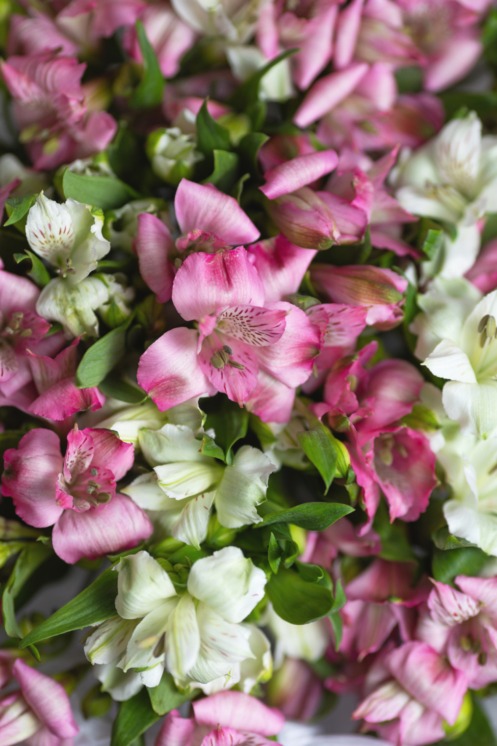 Монобукет из альстромерии 3 фото 4300 р Монобукет из альстромерии 3 фото