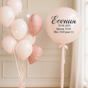 Набор шаров на выписку Нежный