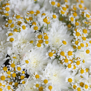 Сборный букет с хризантемой и матрикарией 3 фото