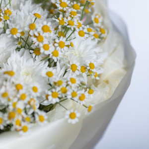 Сборный букет с хризантемой и матрикарией 4 фото