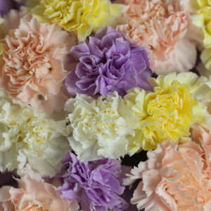 Яркий букет из диантусов 3 фото 4800 р