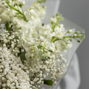 Дуо букет маттиола и гипсофила фото 4