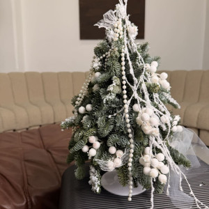 Ёлочка из живой голубой ели фото 2