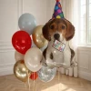 Набор шаров Милый щенок