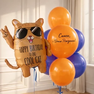 Набор шаров Оранжевый кот