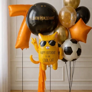 Набор шаров Рыжий кот