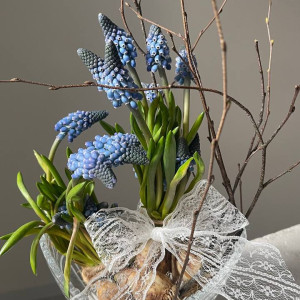 Композиция из мускари на луковице для девушки фото 2