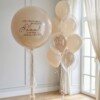 Набор шаров на выписку Бежево-воздушный