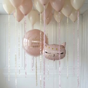 Набор шаров Воздушная кошечка